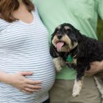 Maternity Photos | The Life Jolie