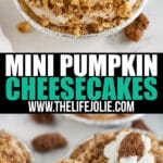 Make this Mini Pumpkin Cheesecake Recipe for the holidays- they're no-bake, seriously easy and totally delicious! Made with pumpkin yogurt, cream cheese, powdered sugar, pumpkin pie spice and vanilla in a graham cracker crust with candied pecans on top, these are sure to please the whole family!