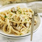 A square image that is a close up of a plate of turkey tetrazzini with a fork in it