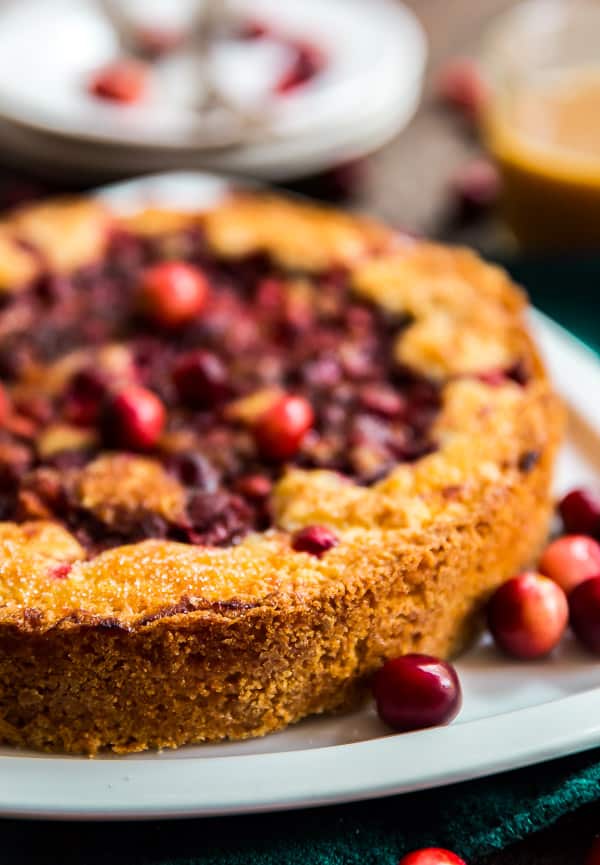 A close up image of the Orange Cranberry Torte on a white plate with cranberries on the side.
