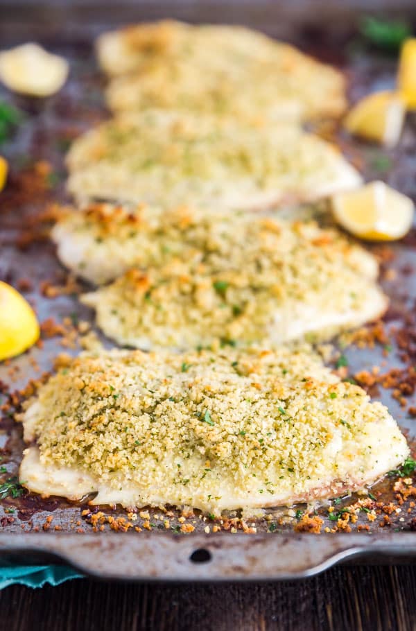 Parmesan Crusted Tilapia lined up on a pan.