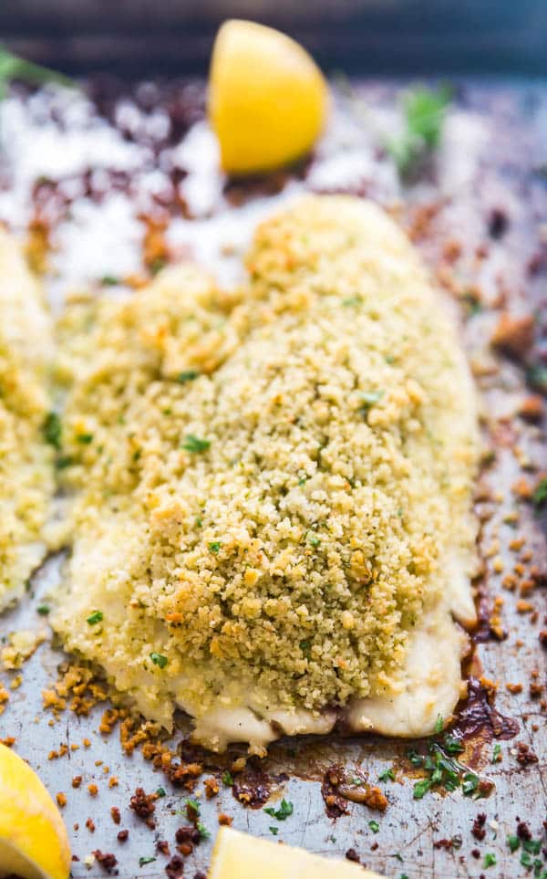 A close up of a piece of Panko Parmesan Crusted Baked Tilapia.