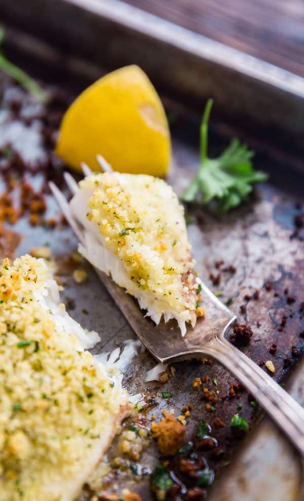 A close up photo of a bite of Panko Parmesan Crusted Baked Tilapia on a fork on a pan with lemon behind it.