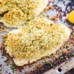 A square image of Panko Parmesan Crusted Baked Tilapia.