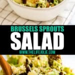 This Salad with Shredded Brussel Sprouts Recipe is the perfect fall side dish. Made with apples and dried cherries and topped with a warm bacon dressing, this is the best way to make even the most avid Brussels Sprouts hater to change their minds!