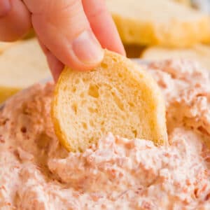 Make this 2 Ingredient Pepperoni Dip- it's a killer make ahead dip that keeps everyone coming back for seconds! Made with just sour cream and pepperoni, your friends will beg for this easy recipe!