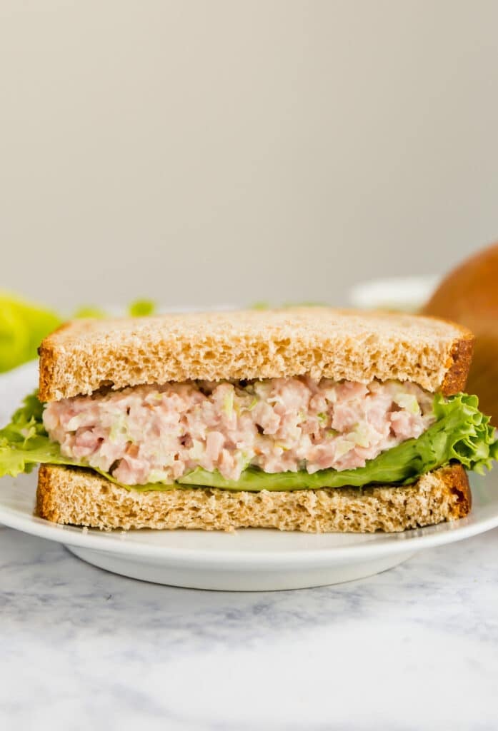 A straight-on shot of a half ham salad sandwich on a plate.