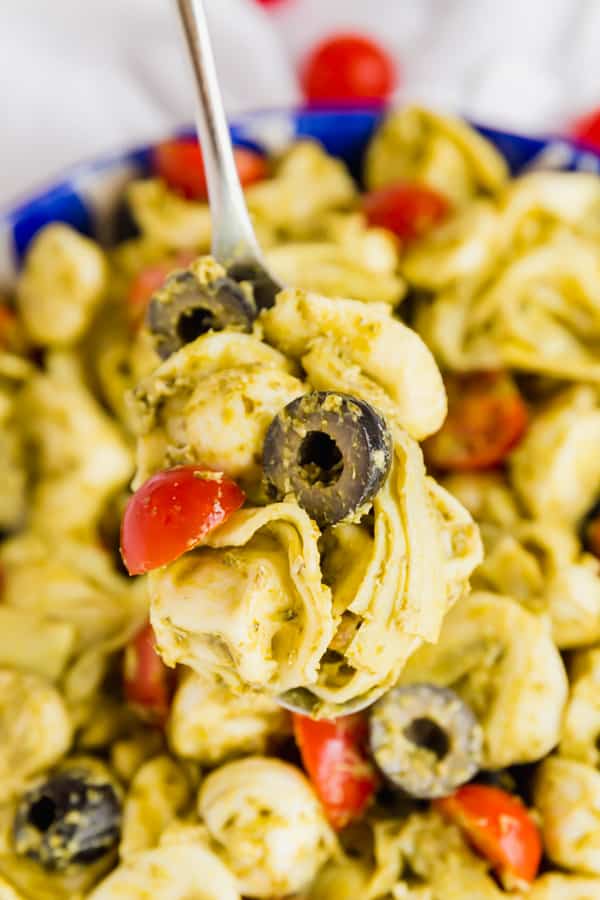 A spoonful of this pasta salad recipe