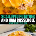 Scalloped Potatoes and Ham Casserole is an excellent way to use leftover holiday ham. Cheesy, creamy and super easy to make, it's a dinner the whole family will love!