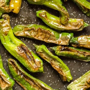 I put together some simple instructions for how to cook Shishito Peppers on the stove or the grill- Just three ingredients and you're ready to go! These super easy blistered peppers make the perfect snack!