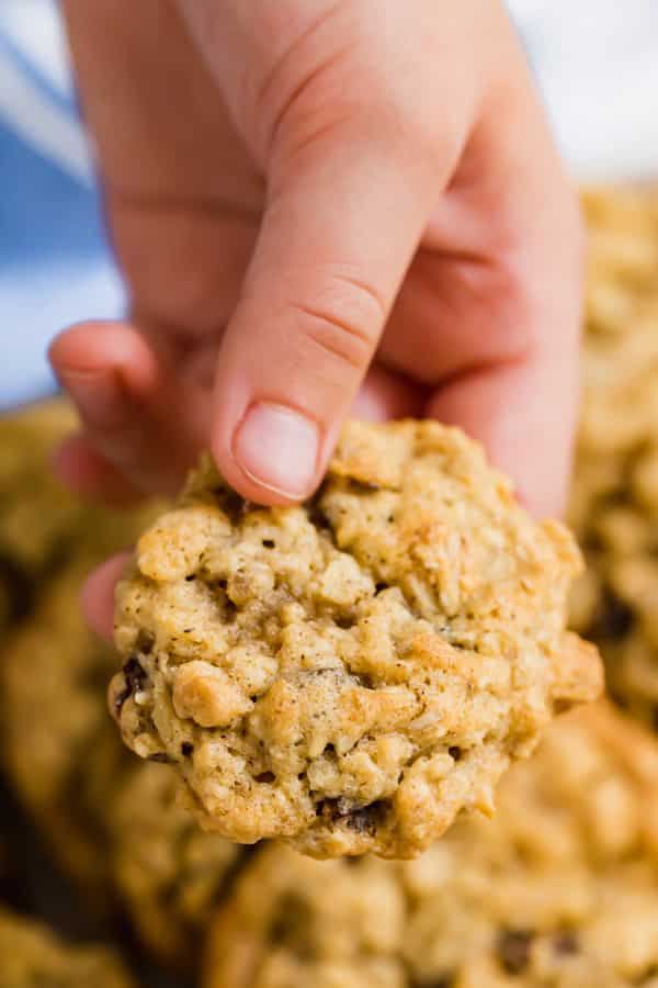 A child's hand holding an oatmeal cookie