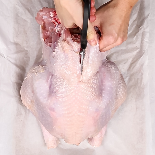 An overhead image of hands beginning to remove the backbone from a turkey.