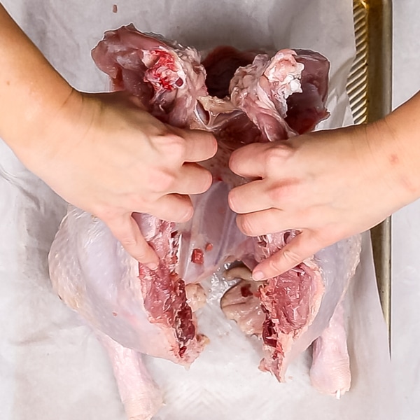 An overhead image of two hands opening up a turkey once the backbone is removed