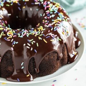 A chocolate bundt cake on a plate
