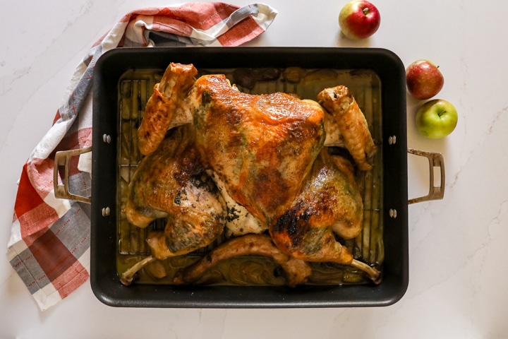 An overhead image of a roasted whole turkey butterflied and laid out in a roasting pan on a orange and grey towel with apples on the side of it.