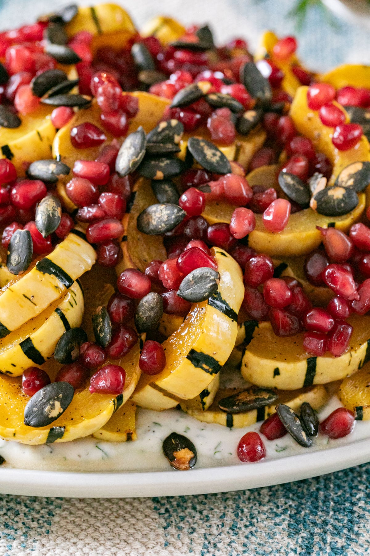 A close up image of he squahs with pomegrate seeds and pumpkin seeds on a platter over yogurt.