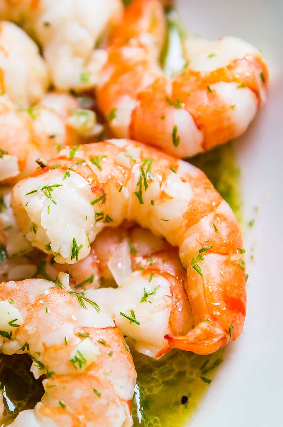 A close up of a garlic shrimp in a white bowl with other shrimp and butter dill sauce.