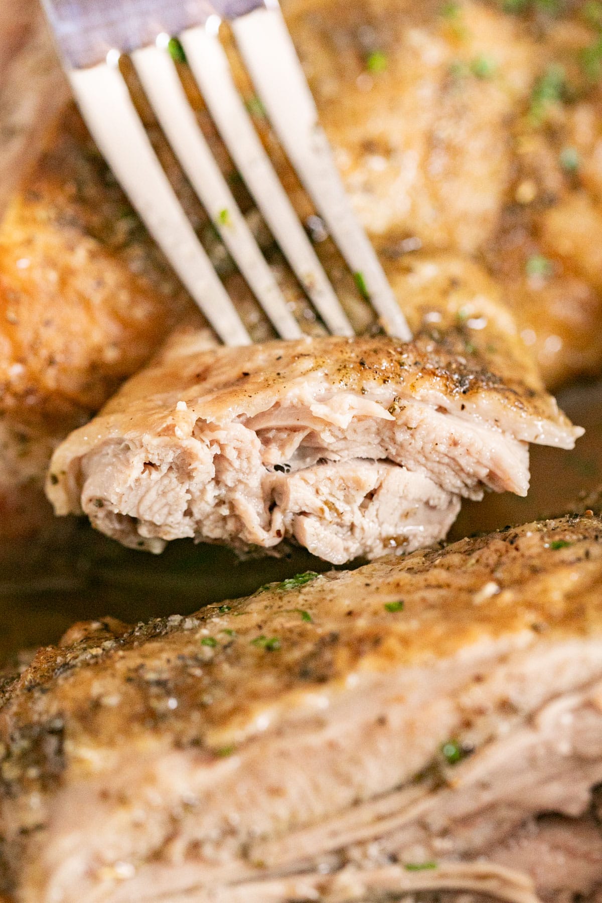 A close up image of a fork holding a bite of roast turkey thigh exposing the juicy inside of the meat.
