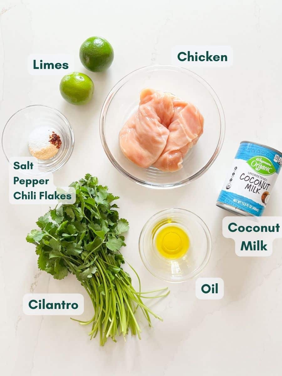 An overhead image of the ingredients for this chicken recipe.