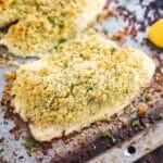 A close up of parmesan crusted fish on a sheet pan.