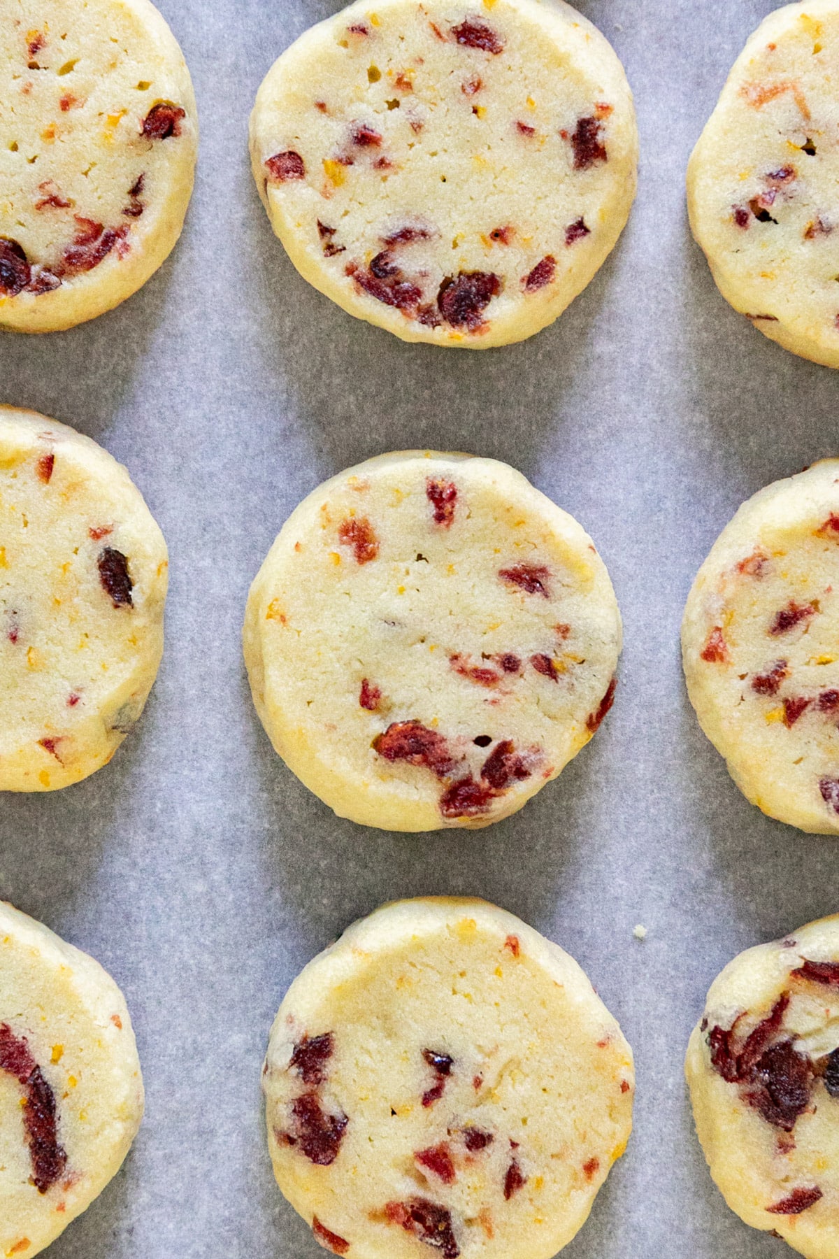 An overhead image of slice-and-bake cookies on a pan.