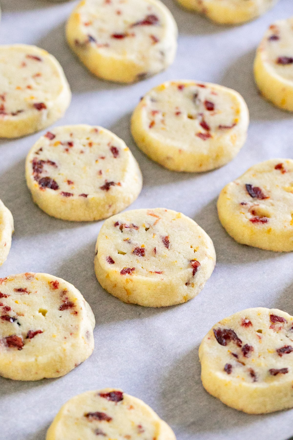 Cranberry cookies lined up on a sheet pan.