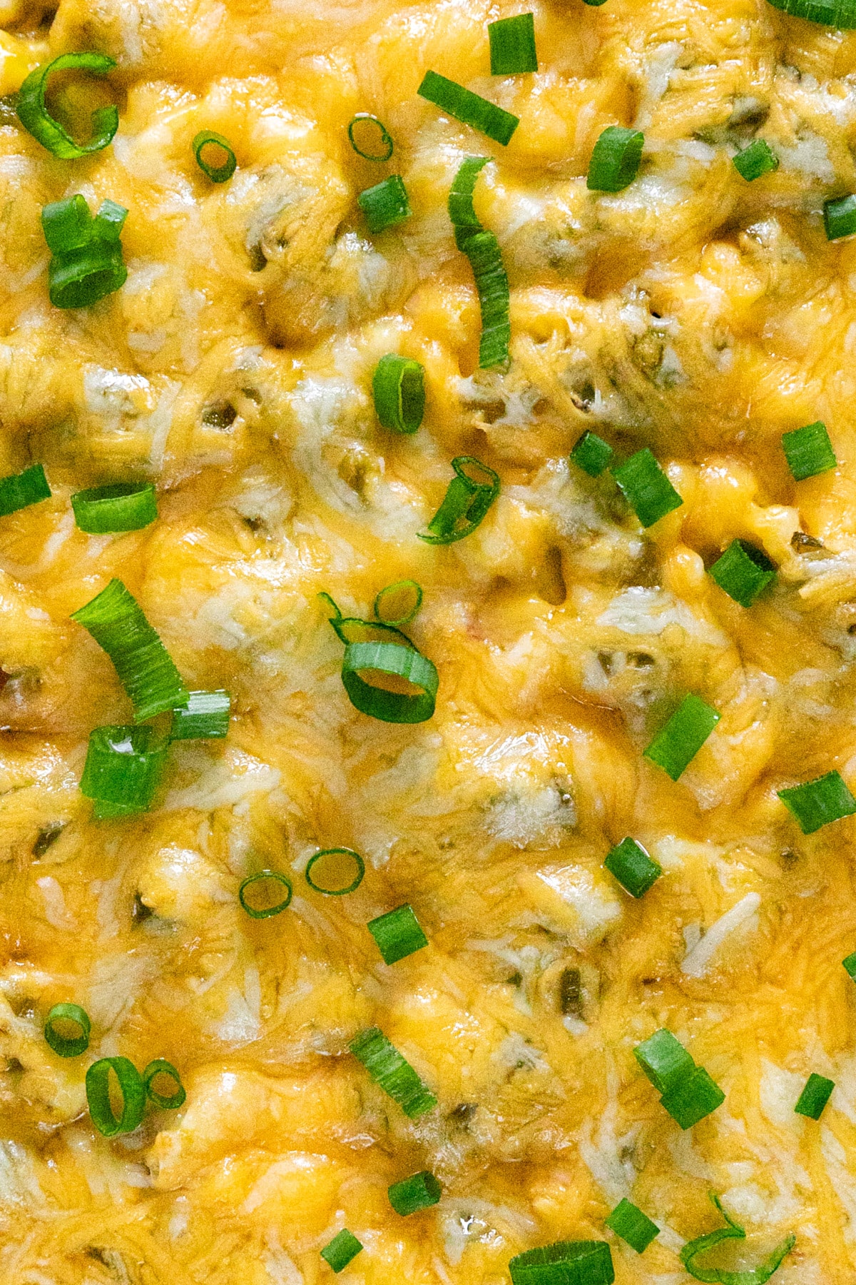 A close up image of the melted cheese with chopped scallions on top.